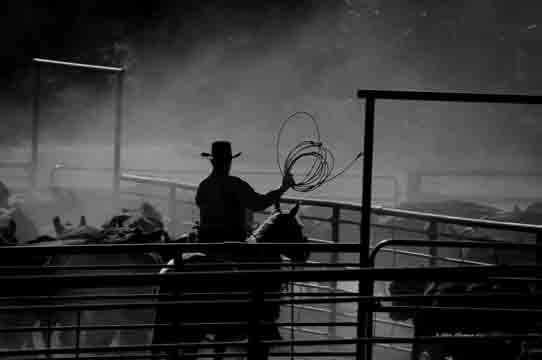 Cowboy with rope copy