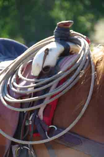 rope on saddle