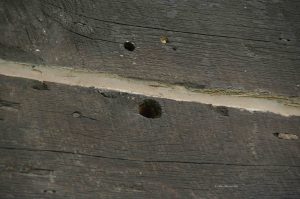 Bullet holes put in the TA Ranch by the posse over 100 years ago in 1892