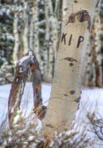 IMGP2356_7_8_tonemapped.cropped