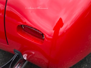 _IGP1145.M.S.Red reflection