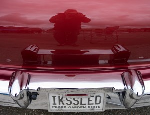 _IGP1150.M.S.crop reflection